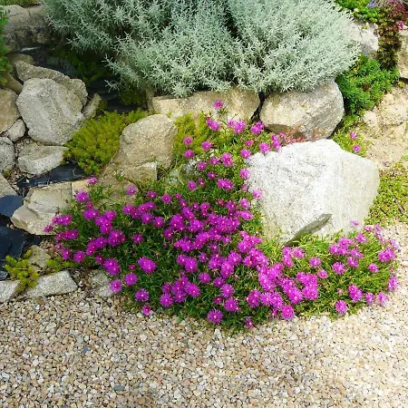 Maison De 5 Avec Jardin Amenage Et Wifi A Catherine A 4 Km De La Plage *